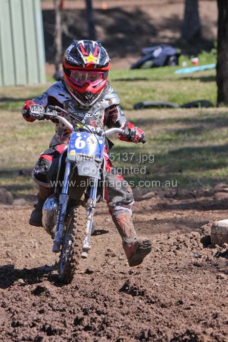 445x677 pixels (79K)